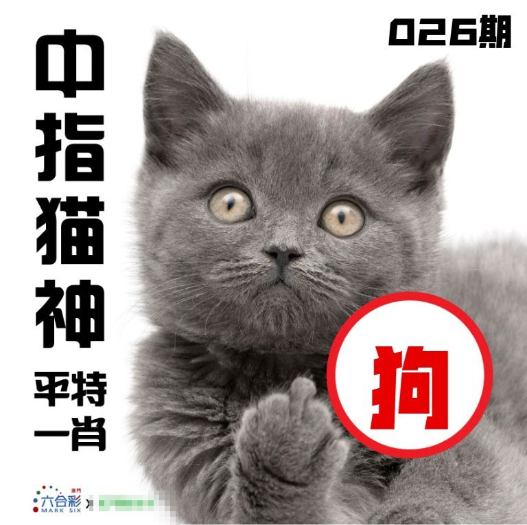 026期中指猫神[图]