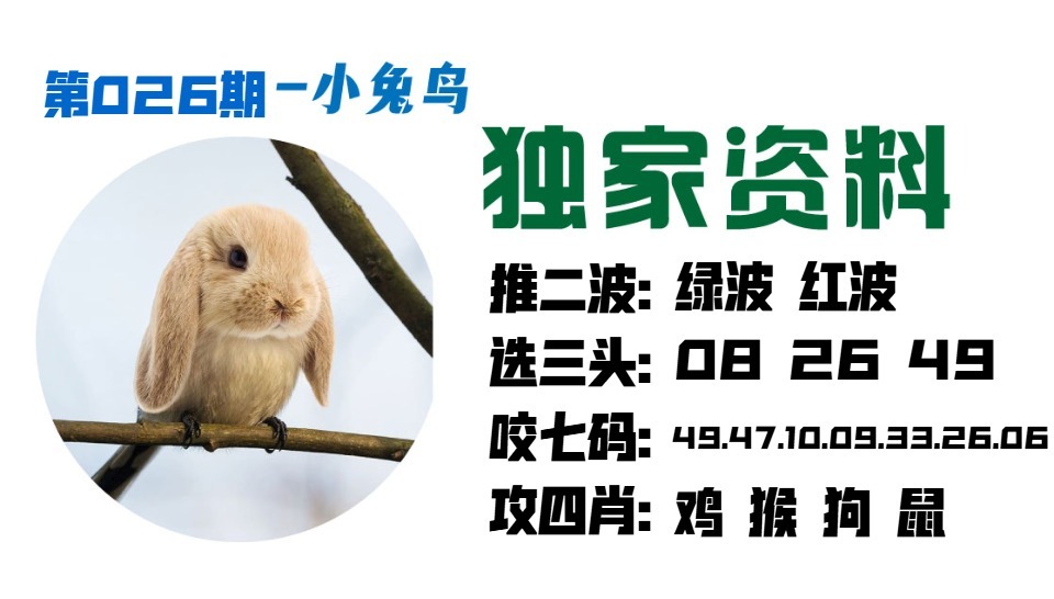 026期小兔鸟[图]